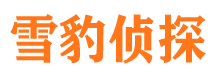 永安市侦探公司